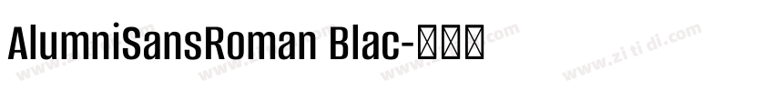 AlumniSansRoman Blac字体转换